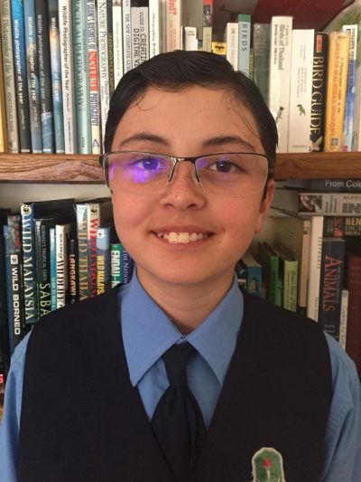 Asis international essay writing competition 2011 02 image