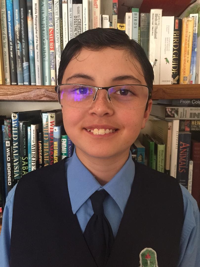 Rentap descendants image